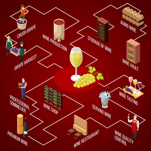 葡萄酒生产等距流程图